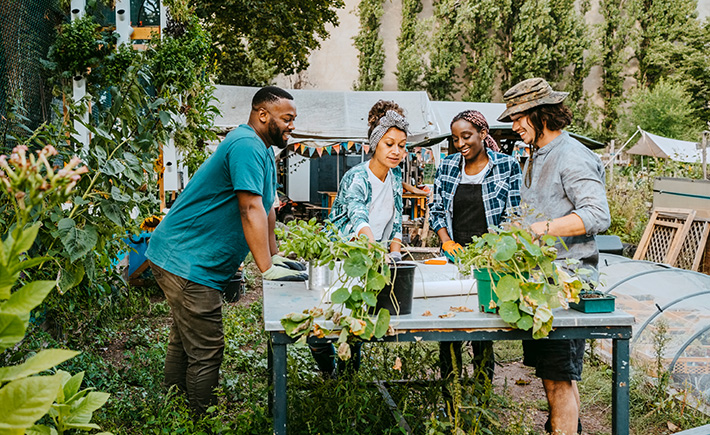 Group of volunteers at a community garden
