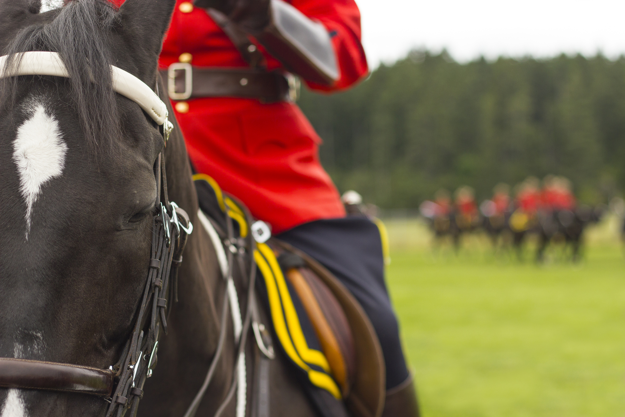 Kelowna RCMP