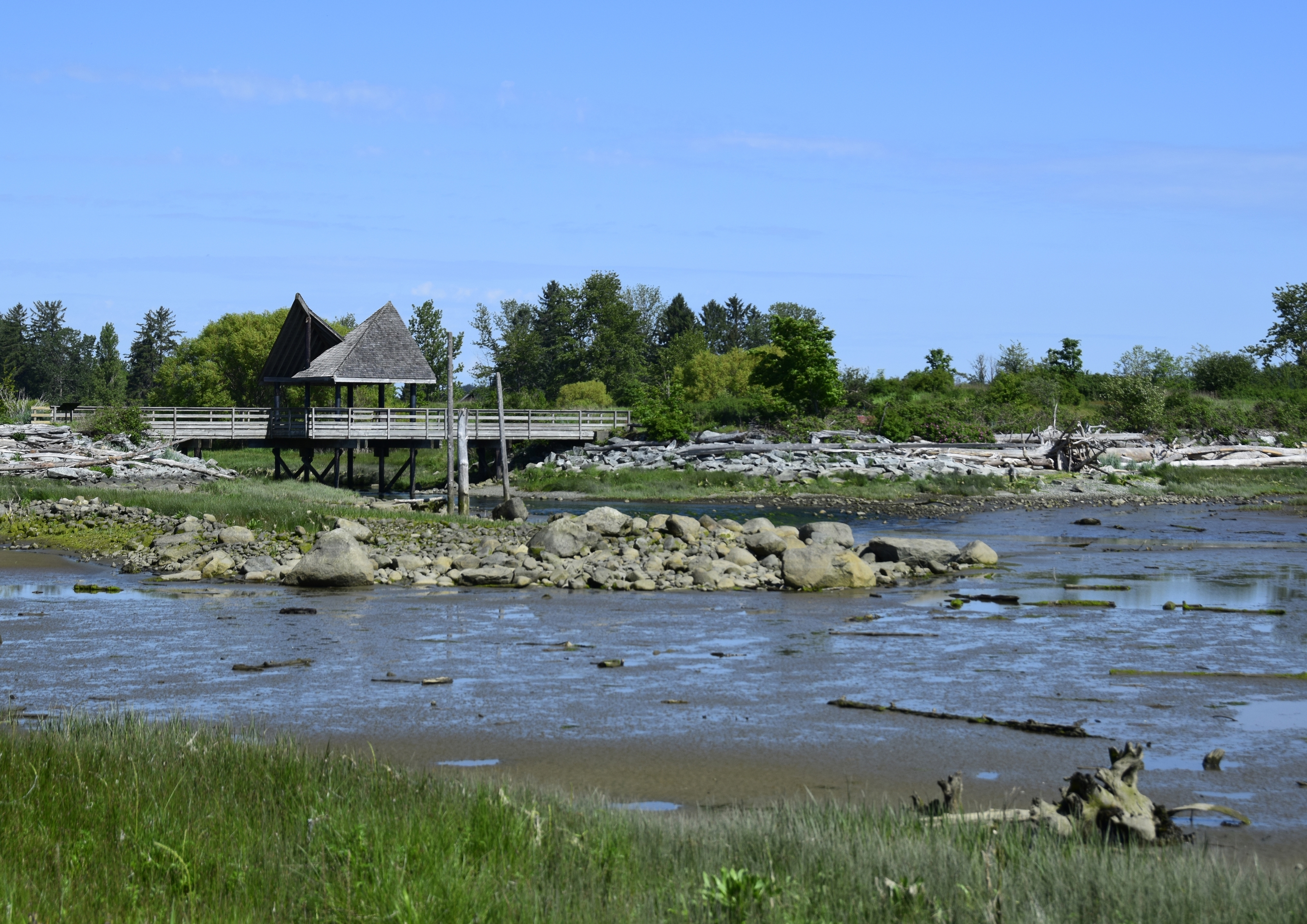 Watershed with rocks and healthy vegetation
