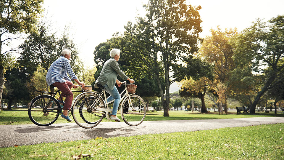 Illustration of park